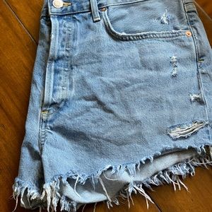 Agolde Vintage Parker Cut Off Short